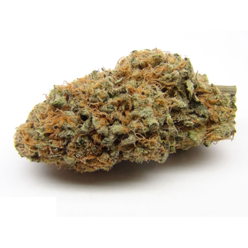 AK 47 – Image 3