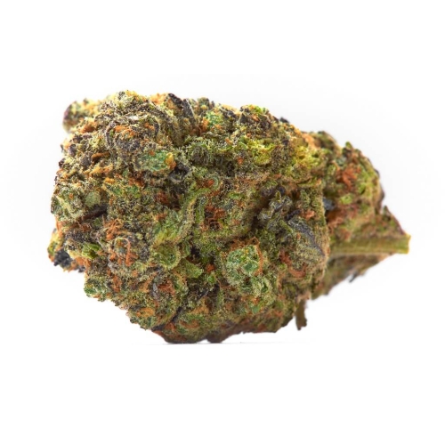 Gelato – Image 2