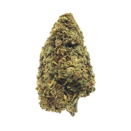 Gelato – Image 3
