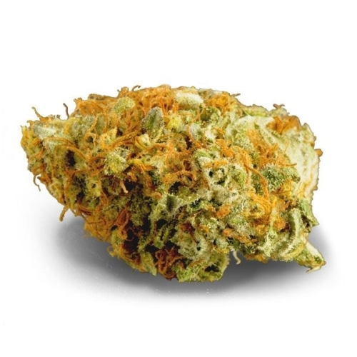 Og Kush – Image 2