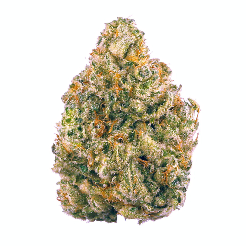 AK 47 – Image 2