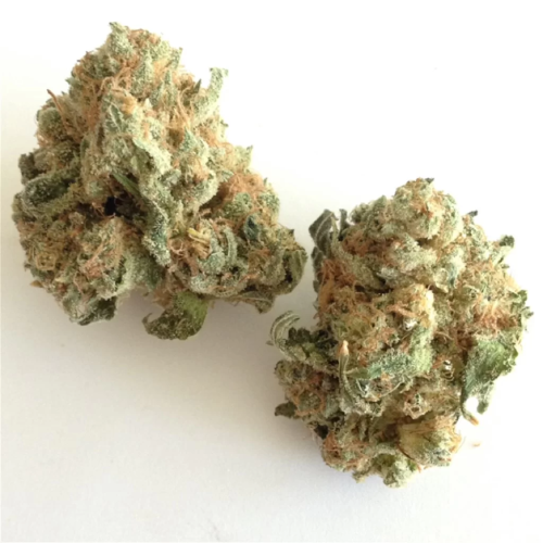 White Widow – Image 3